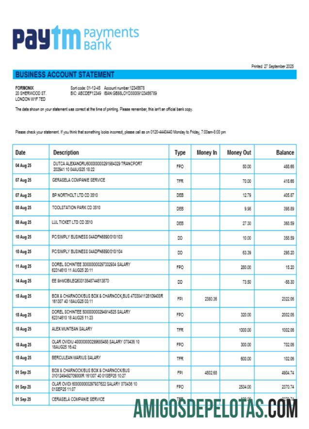 PayTM Payments Business Company Extrato de conta em formato Word e PDF